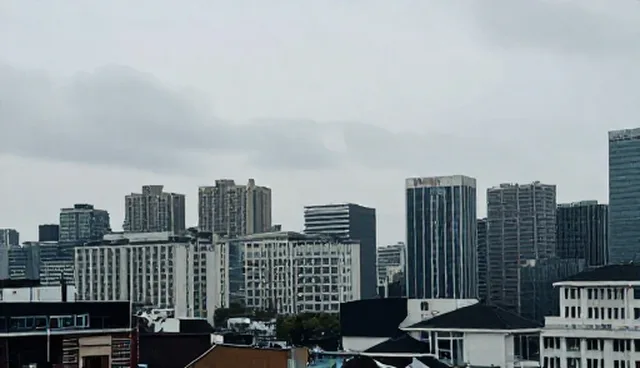 企业信用查询在多个行业中的适用情况与限制